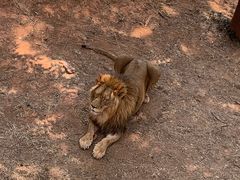 -昆明动物园