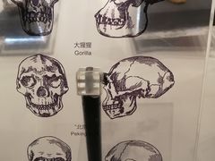 -北京周口店北京人遗址博物馆