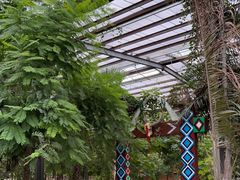 -呀路古热带植物园
