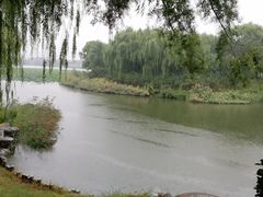 -大兴滨河森林公园