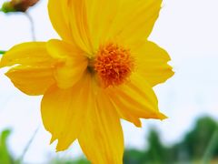 -贡湖湾湿地公园