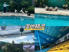 -广州长隆飞鸟乐园