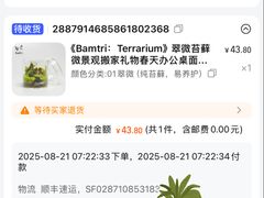 -婷意花宇TheGracesFloral(北外滩店)