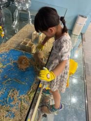 -神奇动物撸宠馆·羊驼·小浣熊·异宠(豫园店)