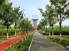 -永定河休闲森林公园