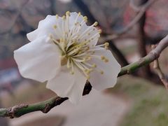 -山东大学(趵突泉校区)