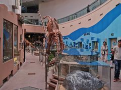 -陕西自然博物馆