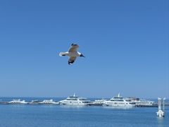 -青海湖二郎剑景区