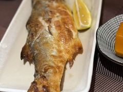-KITON喜豚(清晖园店)