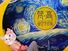 -成都梵高星空艺术馆(春熙路旗舰店)