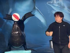 -苏州海洋馆
