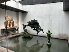 -觀芷隐轩