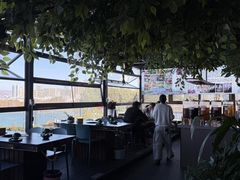 -野菌皇海景野生菌火锅(滨海大道店)