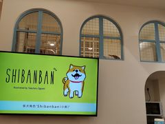 -猫的天空之城概念书店(老虎滩店)