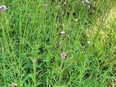 -怡海公园(桂城街道)