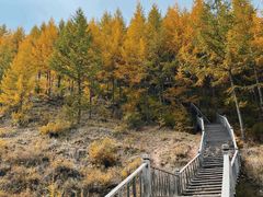 -苏木山森林公园