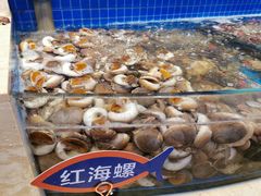 -乔哥铭洋海鲜自助(皇城恒隆广场店)