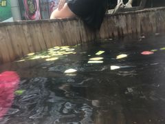 -龙达温泉生态城