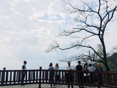 -广州市石门国家森林公园
