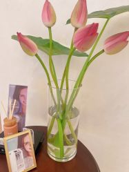 -尊尚柏丽美容SPA