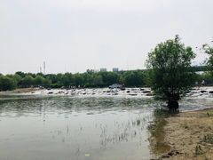 -门城湖公园