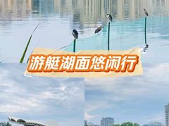 -朝阳公园