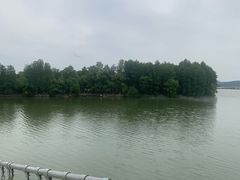 -东湖落雁景区