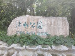-成都市活水公园