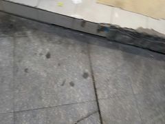 -红旗连锁(时代印象24店)