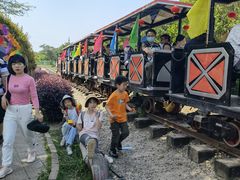 -武汉紫薇都市田园