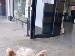 -半岛宠物医院24小时(科华中路店)