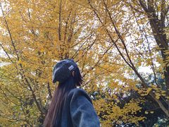 -长白岛森林公园