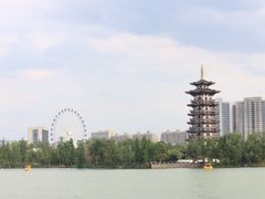 -洋湖国家湿地公园