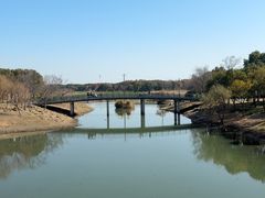 -贡湖湾湿地公园