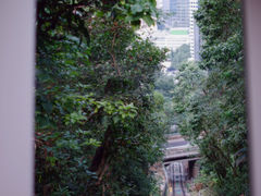 -太平山顶