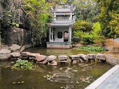 -深圳国际园林花卉博览园