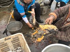 -苗族饮食文化传习所