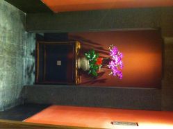 -盘子女人坊生日照·摄影馆(华强店)