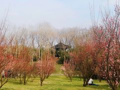 -蜀冈西峰生态公园