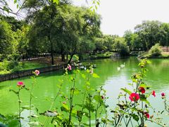 -沈阳森林动物园