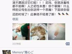 盛京一禾-盛京一禾