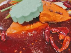 -大龙燚火锅(春熙店)