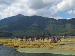 -腾冲北海湿地