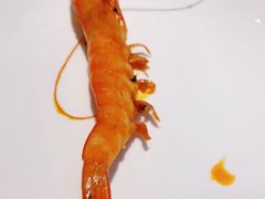 -红辣椒·川菜·火锅(张杨路店)