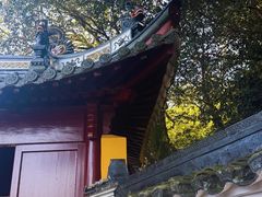 -普陀山风景区-佛顶山