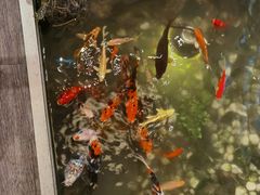 -衡山汇·高级粤菜(霄云路店)