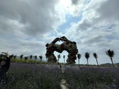 -亚龙湾国际玫瑰谷