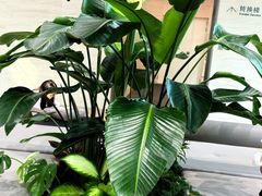 -陆家嘴世纪金融广场