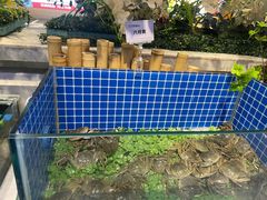 -川骄海鲜自助(河东店)