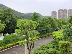 -龙江公园